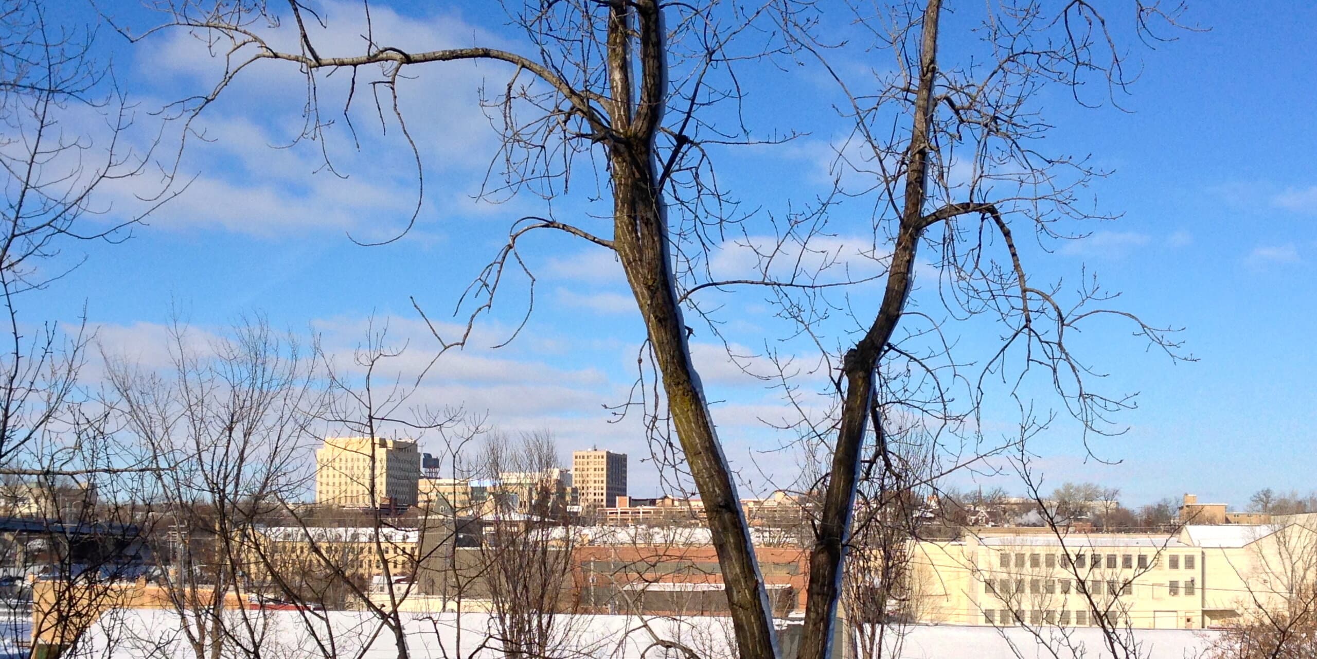 Appleton, WI skyline, the corridor Whipshipper carriers serve daily
