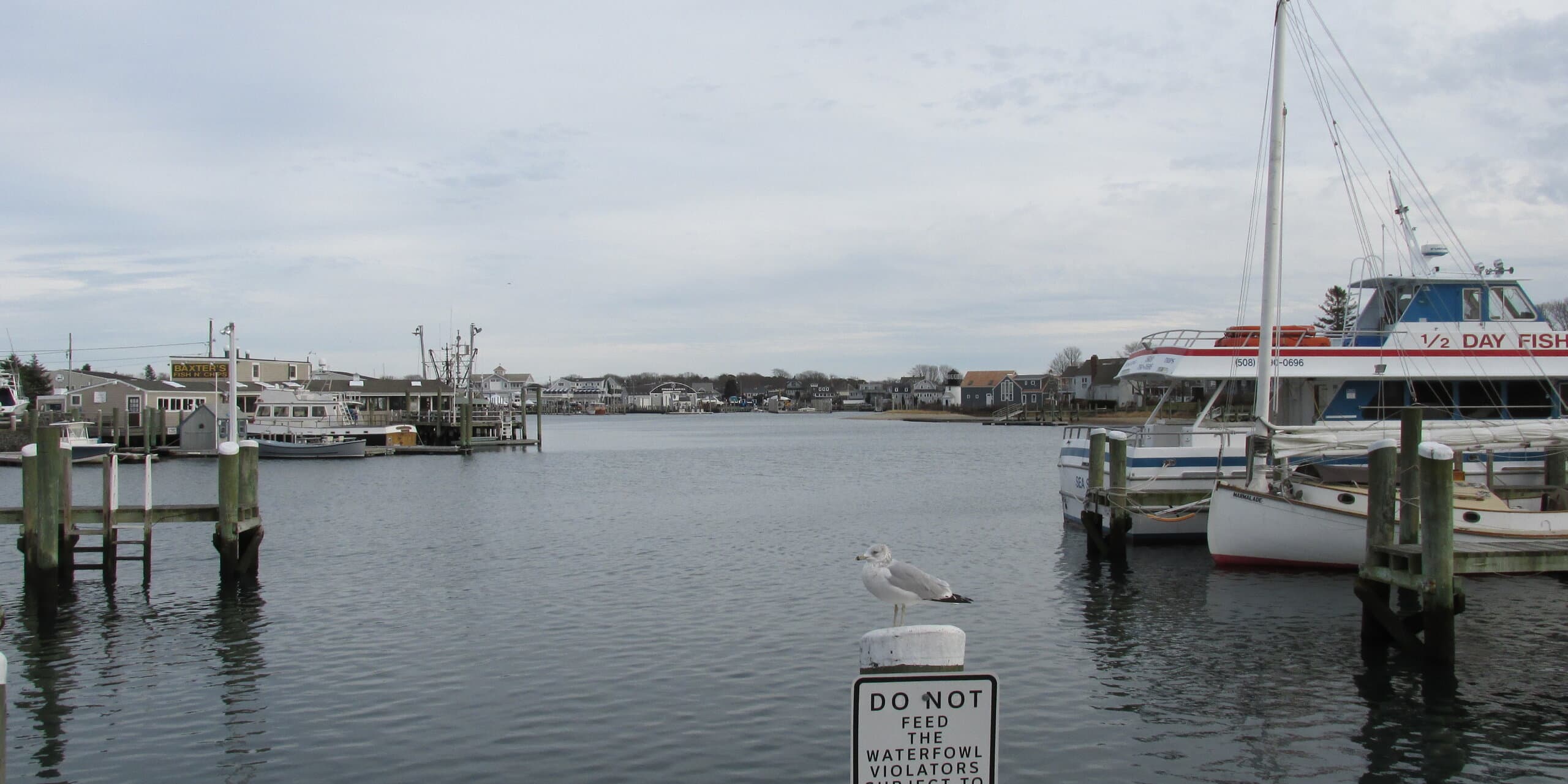 Barnstable Town, MA skyline, the corridor Whipshipper carriers serve daily