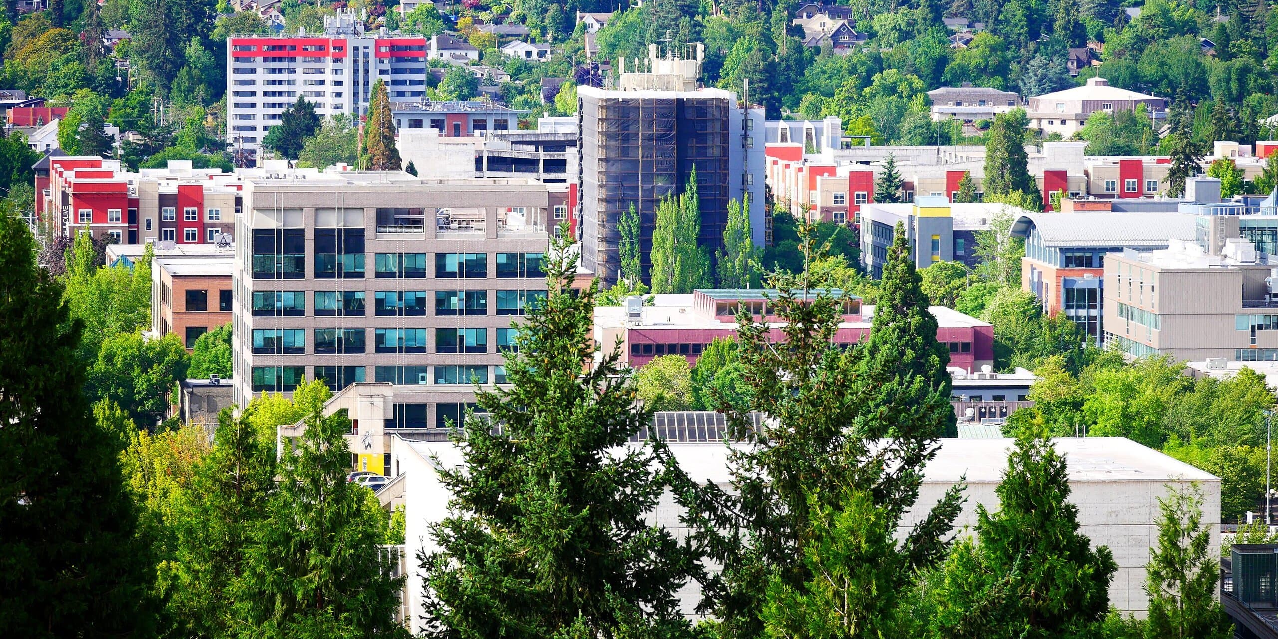 Eugene, OR skyline, the corridor Whipshipper carriers serve daily