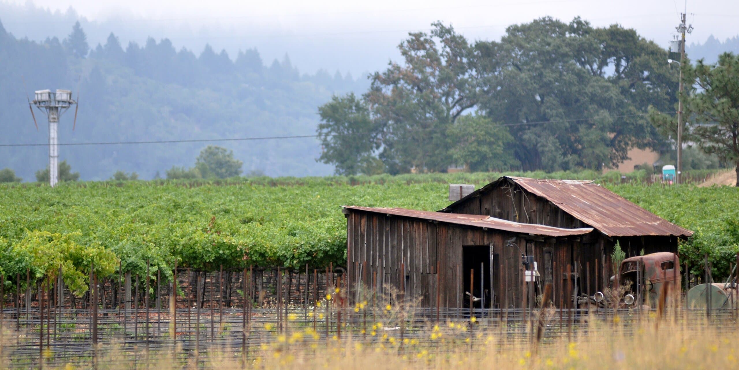 Napa, CA skyline, the corridor Whipshipper carriers serve daily
