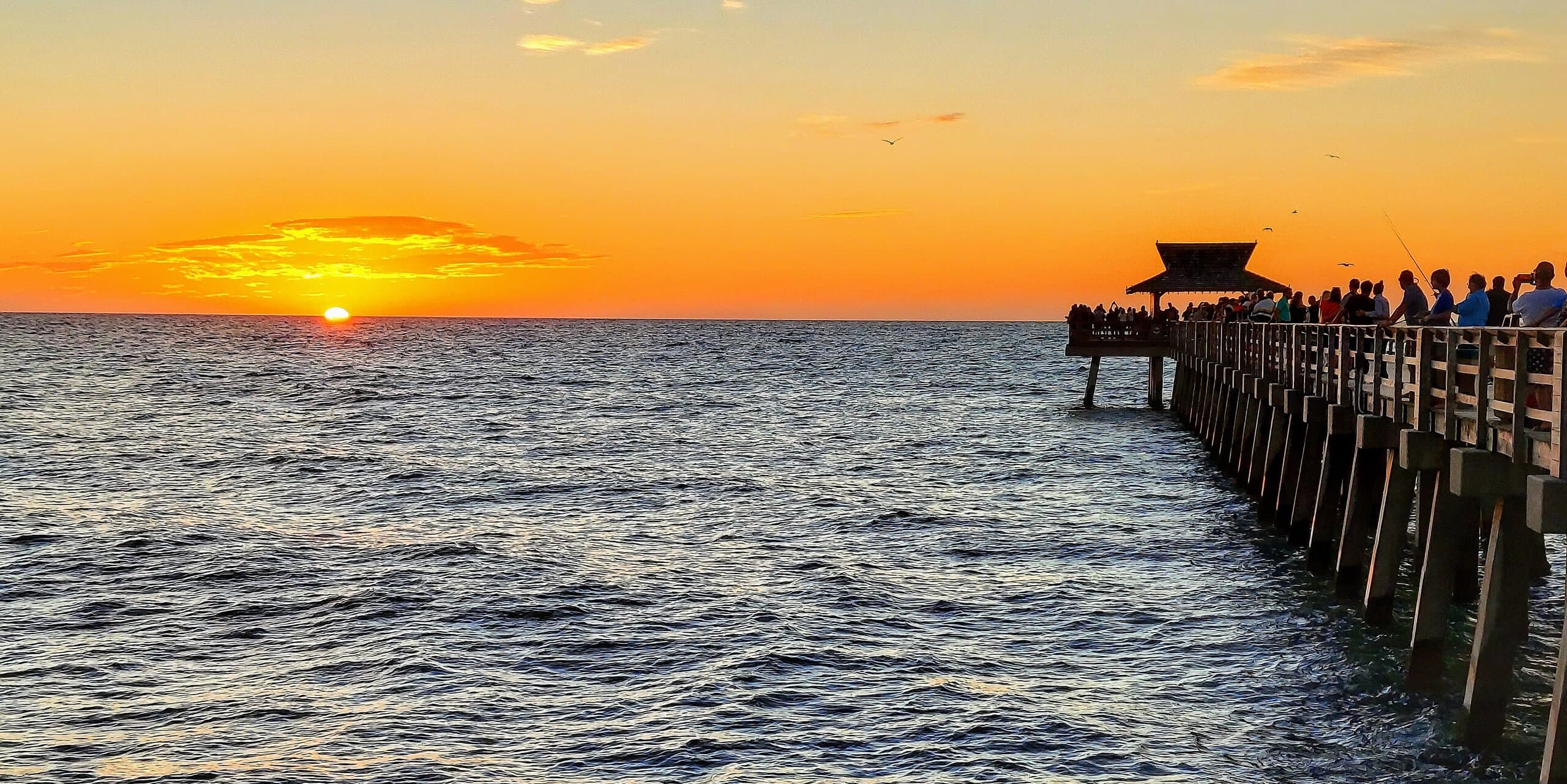 Naples, FL skyline, the corridor Whipshipper carriers serve daily